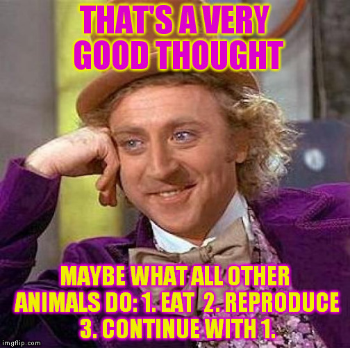 Creepy Condescending Wonka Meme | THAT'S A VERY GOOD THOUGHT MAYBE WHAT ALL OTHER ANIMALS DO: 1. EAT  2. REPRODUCE 3. CONTINUE WITH 1. | image tagged in memes,creepy condescending wonka | made w/ Imgflip meme maker