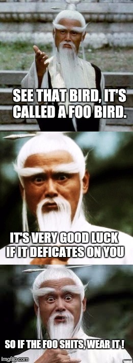 Bad Pun Chinese Man | SEE THAT BIRD, IT'S CALLED A FOO BIRD. IT'S VERY GOOD LUCK IF IT DEFICATES ON YOU; SO IF THE FOO SHITS, WEAR IT ! YAHBLE | image tagged in bad pun chinese man | made w/ Imgflip meme maker
