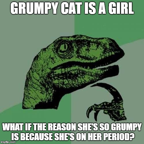 Grumpy revelations | GRUMPY CAT IS A GIRL; WHAT IF THE REASON SHE'S SO GRUMPY IS BECAUSE SHE'S ON HER PERIOD? | image tagged in memes,philosoraptor,grumpy cat | made w/ Imgflip meme maker