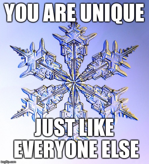 Special Snowflake | YOU ARE UNIQUE; JUST LIKE EVERYONE ELSE | image tagged in unique,snowflakes,memes,funny,true | made w/ Imgflip meme maker