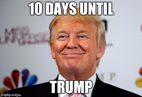 Donald trump approves | 10 DAYS UNTIL; TRUMP | image tagged in donald trump approves | made w/ Imgflip meme maker