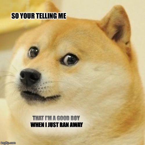 Doge | SO YOUR TELLING ME; THAT I'M A GOOD BOY WHEN I JUST RAN AWAY | image tagged in memes,doge | made w/ Imgflip meme maker