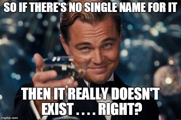 Leonardo Dicaprio Cheers Meme | SO IF THERE'S NO SINGLE NAME FOR IT THEN IT REALLY DOESN'T EXIST . . . . RIGHT? | image tagged in memes,leonardo dicaprio cheers | made w/ Imgflip meme maker