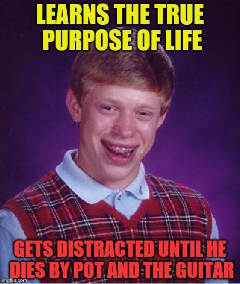 Bad Luck Brian | LEARNS THE TRUE PURPOSE OF LIFE; GETS DISTRACTED UNTIL HE DIES BY POT AND THE GUITAR | image tagged in memes,bad luck brian | made w/ Imgflip meme maker