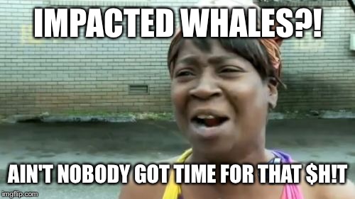 Ain't Nobody Got Time For That Meme | IMPACTED WHALES?! AIN'T NOBODY GOT TIME FOR THAT $H!T | image tagged in memes,aint nobody got time for that | made w/ Imgflip meme maker