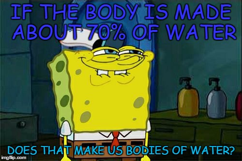 Don't You Squidward Meme | IF THE BODY IS MADE ABOUT 70% OF WATER; DOES THAT MAKE US BODIES OF WATER? | image tagged in memes,dont you squidward | made w/ Imgflip meme maker