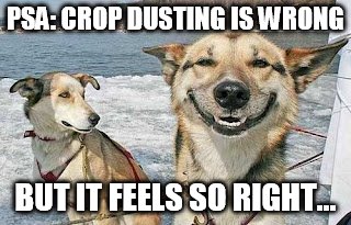 Original Stoner Dog Meme | PSA: CROP DUSTING IS WRONG; BUT IT FEELS SO RIGHT... | image tagged in memes,original stoner dog | made w/ Imgflip meme maker