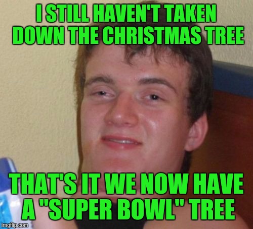 10 Guy Meme | I STILL HAVEN'T TAKEN DOWN THE CHRISTMAS TREE; THAT'S IT WE NOW HAVE A "SUPER BOWL" TREE | image tagged in memes,10 guy | made w/ Imgflip meme maker