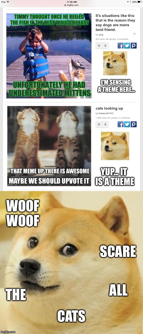 Ultimate doge meme | I'M SENSING A THEME HERE... YUP... IT IS A THEME; WOOF WOOF; SCARE; THE; ALL; CATS | image tagged in good memes,imgflip perfect,doge,cats and doges,scare all the cats | made w/ Imgflip meme maker