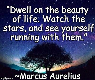 Beauty Of Life | “Dwell on the beauty of life. Watch the stars, and see yourself running with them.”; ~Marcus Aurelius | image tagged in stars,marcus aurelius,tree,sky,heavens,universe | made w/ Imgflip meme maker