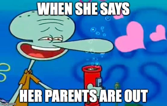 WHEN SHE SAYS; HER PARENTS ARE OUT | image tagged in squid-boner | made w/ Imgflip meme maker