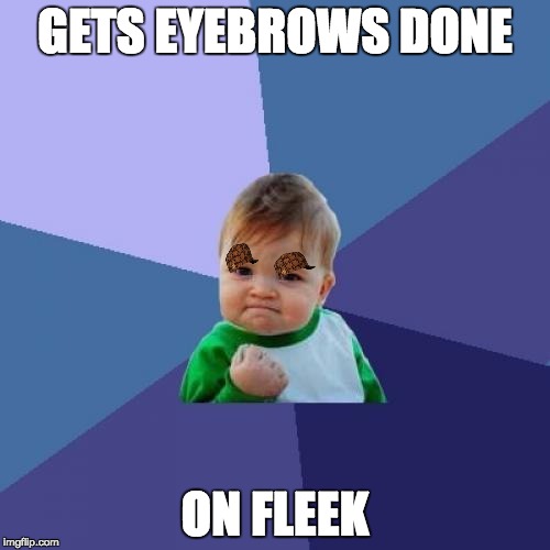Success Kid | GETS EYEBROWS DONE; ON FLEEK | image tagged in memes,success kid,scumbag | made w/ Imgflip meme maker