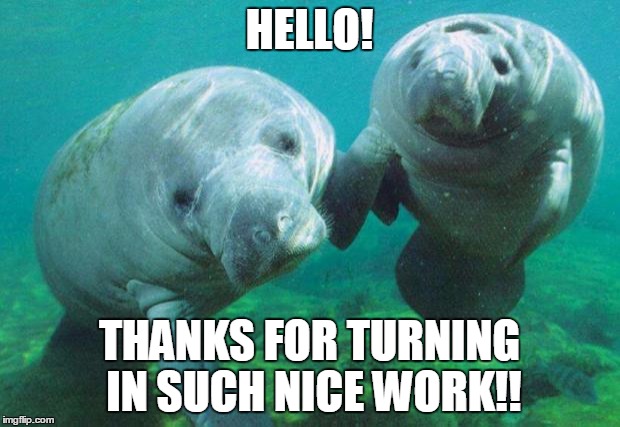 Dancing manatees | HELLO! THANKS FOR TURNING IN SUCH NICE WORK!! | image tagged in dancing manatees | made w/ Imgflip meme maker