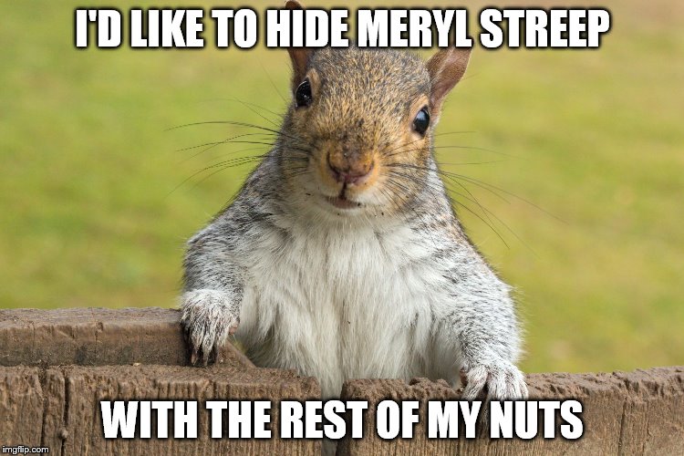 Advice giving squirrel | I'D LIKE TO HIDE MERYL STREEP; WITH THE REST OF MY NUTS | image tagged in advice giving squirrel | made w/ Imgflip meme maker
