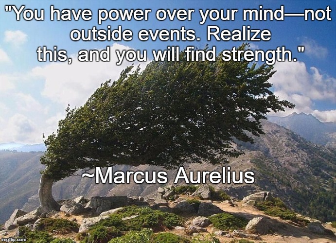 Strength | "You have power over your mind—not outside events. Realize this, and you will find strength."; ~Marcus Aurelius | image tagged in tree,mountains,marcus aurelius,power,mind,landscape | made w/ Imgflip meme maker