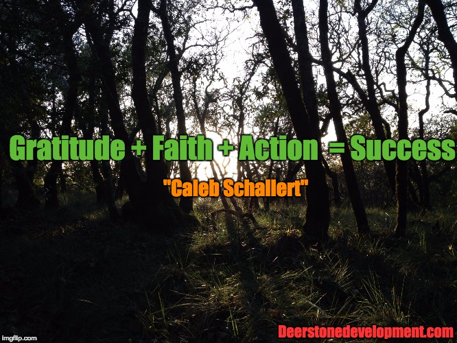 Gratitude + Faith + Action  = Success; "Caleb Schallert"; Deerstonedevelopment.com | image tagged in gratitude  faith  action  success | made w/ Imgflip meme maker