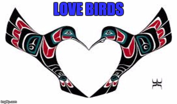 LOVE BIRDS | image tagged in signs/billboards | made w/ Imgflip meme maker