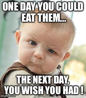 Confused Baby | ONE DAY YOU COULD EAT THEM... THE NEXT DAY, YOU WISH YOU HAD ! | image tagged in confused baby | made w/ Imgflip meme maker