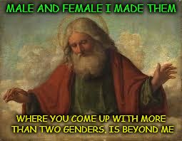 god | MALE AND FEMALE I MADE THEM; WHERE YOU COME UP WITH MORE THAN TWO GENDERS, IS BEYOND ME | image tagged in god | made w/ Imgflip meme maker