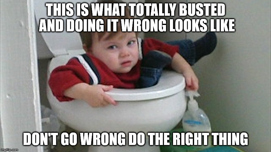 In the Toilet | THIS IS WHAT TOTALLY BUSTED AND DOING IT WRONG LOOKS LIKE; DON'T GO WRONG DO THE RIGHT THING | image tagged in i have no idea what i am doing,you're doing it wrong,doing the right things,what am i doing with my life,why am i doing this,jus | made w/ Imgflip meme maker