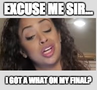 Excuse Me | EXCUSE ME SIR... I GOT A WHAT ON MY FINAL? | image tagged in finals,liza | made w/ Imgflip meme maker