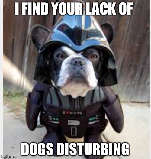 Sith dog | I FIND YOUR LACK OF; DOGS DISTURBING | image tagged in sith dog | made w/ Imgflip meme maker