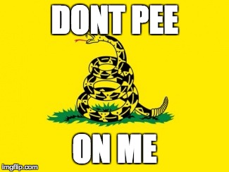 Gadsden Flag | DONT PEE; ON ME | image tagged in gadsden flag | made w/ Imgflip meme maker