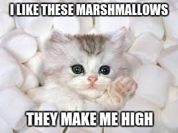 I LIKE THESE MARSHMALLOWS; THEY MAKE ME HIGH | image tagged in marshmallows,cat | made w/ Imgflip meme maker