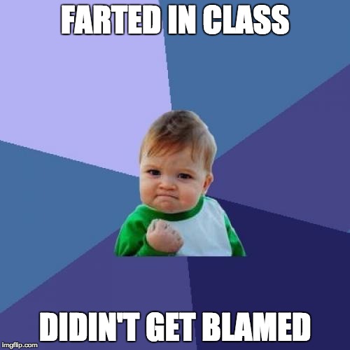 Success Kid Meme | FARTED IN CLASS; DIDIN'T GET BLAMED | image tagged in memes,success kid | made w/ Imgflip meme maker