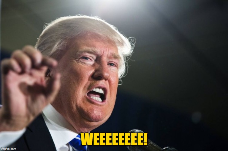 donald trump | WEEEEEEEE! | image tagged in donald trump | made w/ Imgflip meme maker