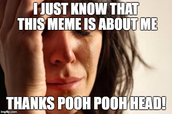 First World Problems Meme | I JUST KNOW THAT THIS MEME IS ABOUT ME THANKS POOH POOH HEAD! | image tagged in memes,first world problems | made w/ Imgflip meme maker