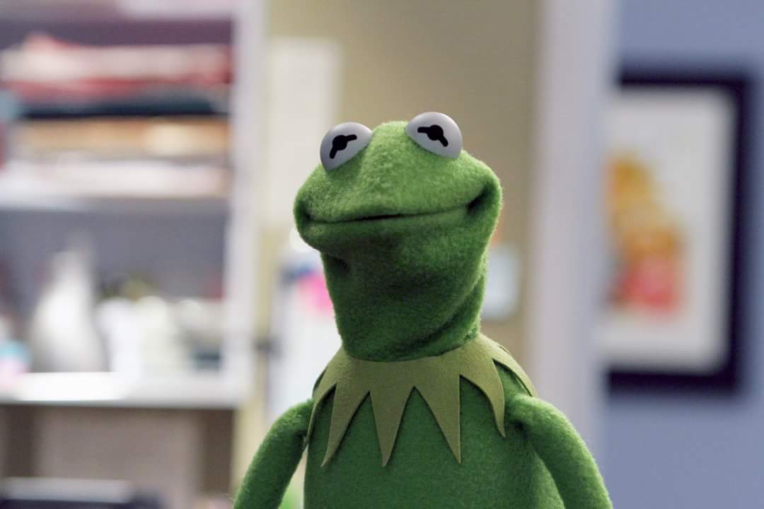 Disappointed Kermit Blank Meme Template