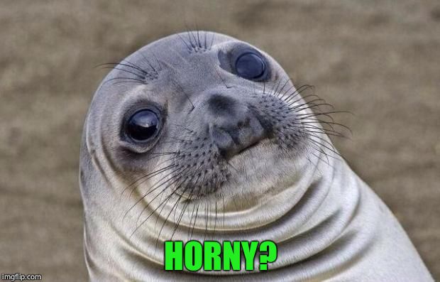 Awkward Moment Sealion Meme | HORNY? | image tagged in memes,awkward moment sealion | made w/ Imgflip meme maker