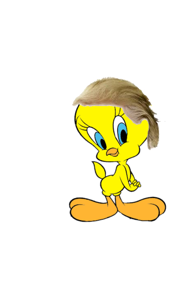 Trump Tweety Blank Meme Template