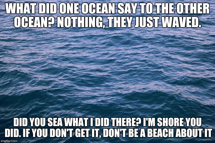 WHAT DID ONE OCEAN SAY TO THE OTHER OCEAN? NOTHING, THEY JUST WAVED. DID YOU SEA WHAT I DID THERE? I'M SHORE YOU DID. IF YOU DON'T GET IT, D | made w/ Imgflip meme maker