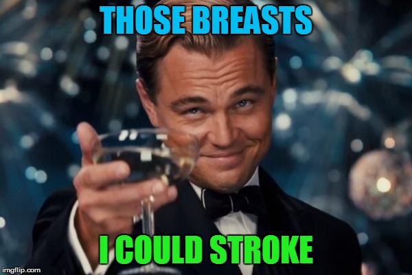 Leonardo Dicaprio Cheers Meme | THOSE BREASTS I COULD STROKE | image tagged in memes,leonardo dicaprio cheers | made w/ Imgflip meme maker