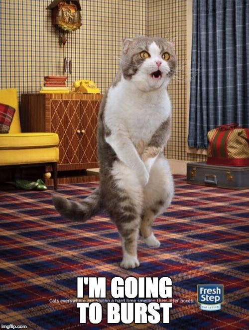 Gotta Go Cat Meme | I'M GOING TO BURST | image tagged in memes,gotta go cat | made w/ Imgflip meme maker