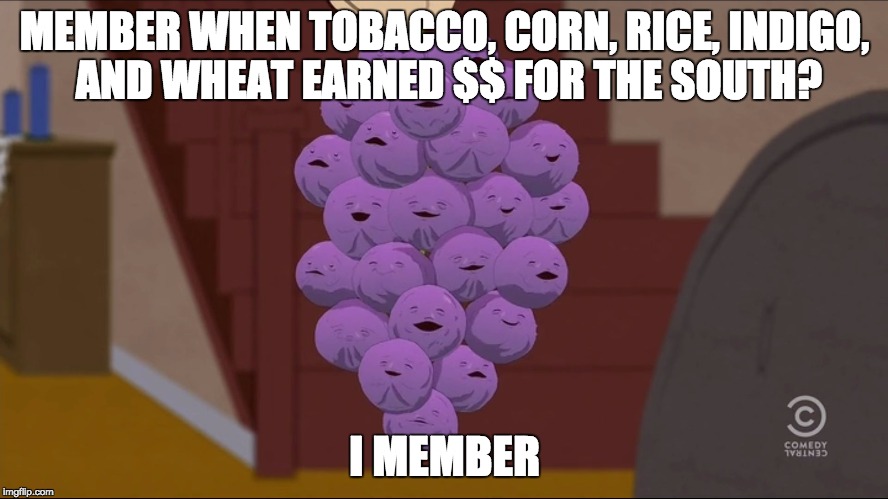Member Berries Meme | MEMBER WHEN TOBACCO, CORN, RICE, INDIGO, AND WHEAT EARNED $$ FOR THE SOUTH? I MEMBER | image tagged in memes,member berries | made w/ Imgflip meme maker