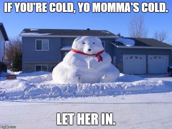 IF YOU'RE COLD, YO MOMMA'S COLD. LET HER IN. | image tagged in cold | made w/ Imgflip meme maker