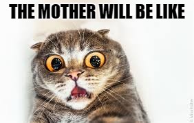 THE MOTHER WILL BE LIKE | made w/ Imgflip meme maker