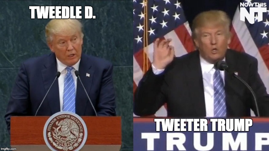 Tweedle D. and Tweeter Trump | TWEEDLE D. TWEETER TRUMP | image tagged in donald trump,trump,twitter,tweeter,tweet | made w/ Imgflip meme maker