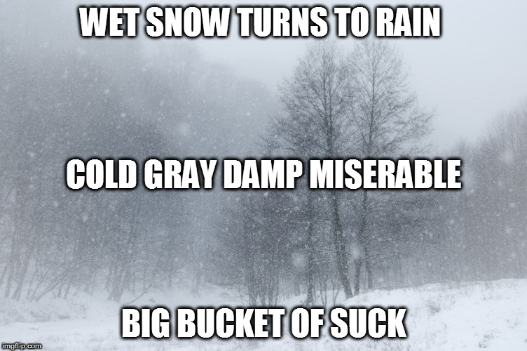 WET SNOW TURNS TO RAIN; COLD GRAY DAMP MISERABLE; BIG BUCKET OF SUCK | image tagged in winter suck | made w/ Imgflip meme maker