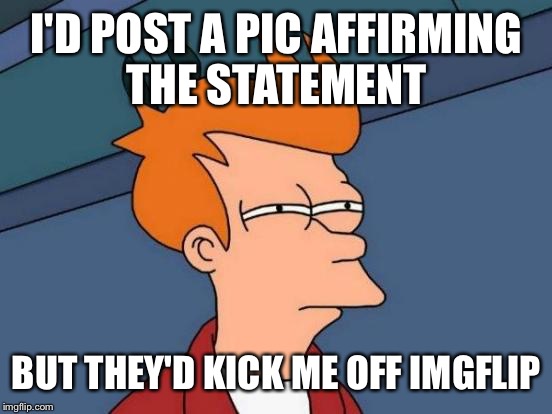 Futurama Fry Meme | I'D POST A PIC AFFIRMING THE STATEMENT BUT THEY'D KICK ME OFF IMGFLIP | image tagged in memes,futurama fry | made w/ Imgflip meme maker