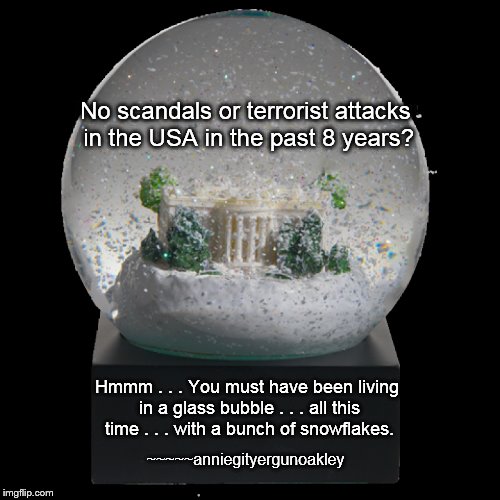 The 44th's Re-write | No scandals or terrorist attacks in the USA in the past 8 years? Hmmm . . . You must have been living in a glass bubble . . . all this time . . . with a bunch of snowflakes. ~~~~~anniegityergunoakley | image tagged in memes,snowflakes,living in a bubble | made w/ Imgflip meme maker