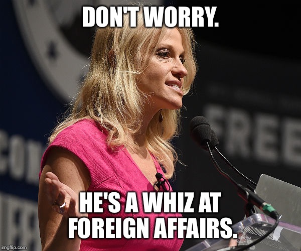 Kellyann Conway | DON'T WORRY. HE'S A WHIZ AT FOREIGN AFFAIRS. | image tagged in kellyann conway | made w/ Imgflip meme maker