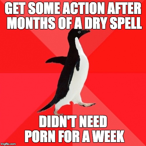 Socially Awesome Penguin Meme | GET SOME ACTION AFTER MONTHS OF A DRY SPELL; DIDN'T NEED PORN FOR A WEEK | image tagged in memes,socially awesome penguin | made w/ Imgflip meme maker