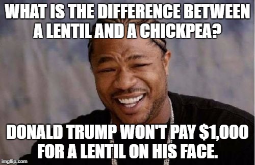 Yo Dawg Heard You Meme | WHAT IS THE DIFFERENCE BETWEEN A LENTIL AND A CHICKPEA? DONALD TRUMP WON'T PAY $1,000 FOR A LENTIL ON HIS FACE. | image tagged in memes,yo dawg heard you | made w/ Imgflip meme maker