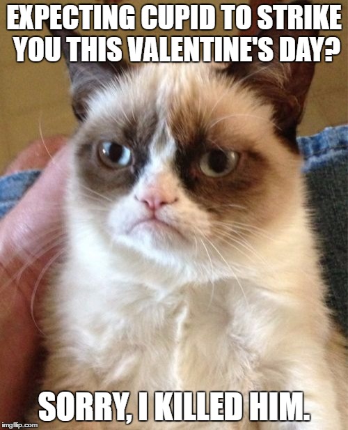 Grumpy Cat Meme | EXPECTING CUPID TO STRIKE YOU THIS VALENTINE'S DAY? SORRY, I KILLED HIM. | image tagged in memes,grumpy cat | made w/ Imgflip meme maker