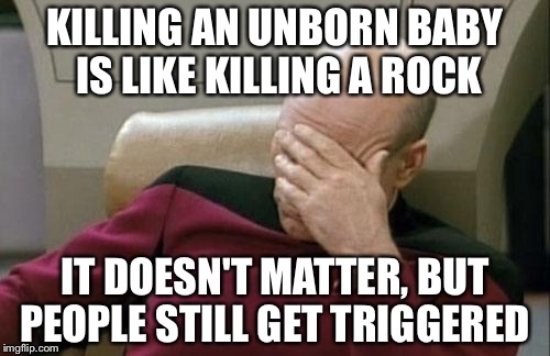 Dear pro-life haters: come at me bro | KILLING AN UNBORN BABY IS LIKE KILLING A ROCK; IT DOESN'T MATTER, BUT PEOPLE STILL GET TRIGGERED | image tagged in memes,captain picard facepalm,abortion | made w/ Imgflip meme maker