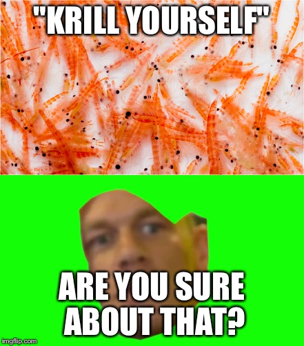 "KRILL YOURSELF" ARE YOU SURE ABOUT THAT? | made w/ Imgflip meme maker